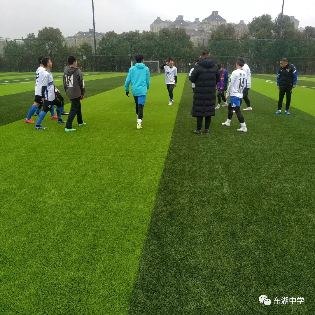 篮球训练法读后感怎么写_1